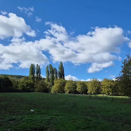 Kali Pillango - Haz A Voelgyben *