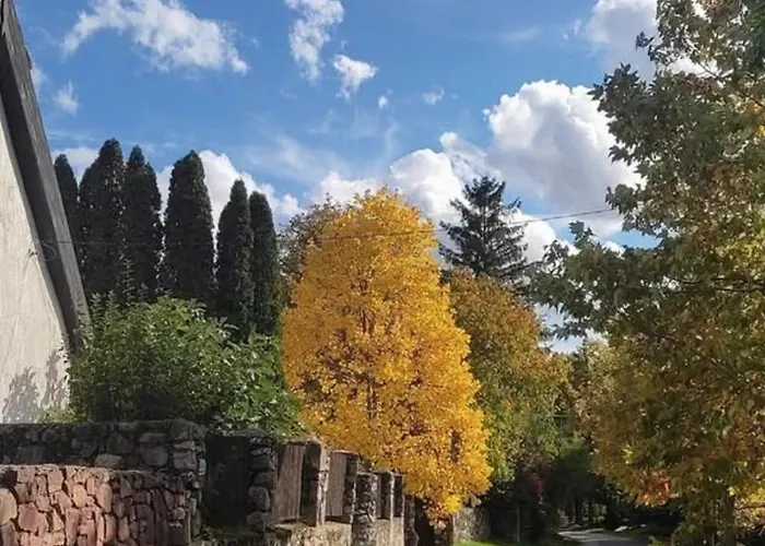 Kali Pillango - Haz A Voelgyben